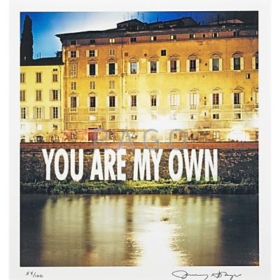 Appraisal: Jenny Holzer American b You Are My Own C-print framed