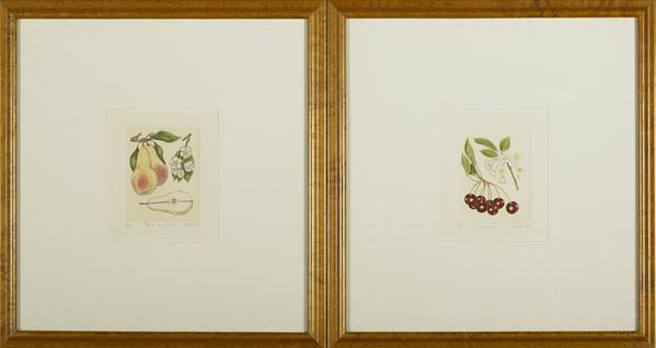 Appraisal: FOUR BOTANICAL ETCHINGS by Stromquist c Hand colored etchings framed