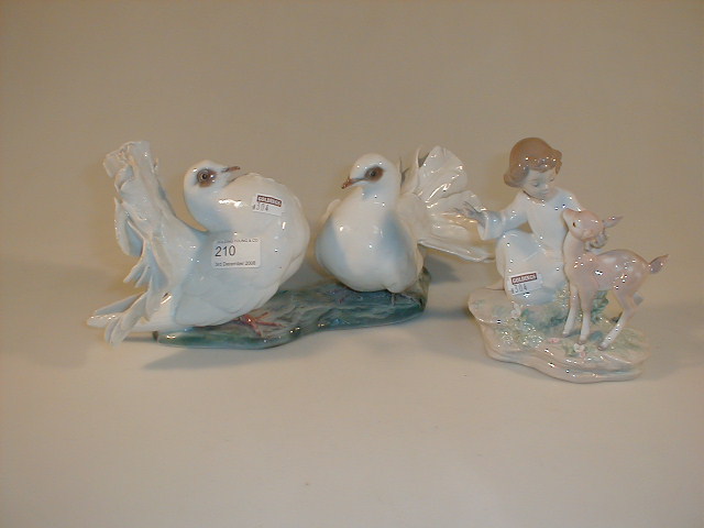 Appraisal: A Rosenthal porcelain group of two fantail doves and a