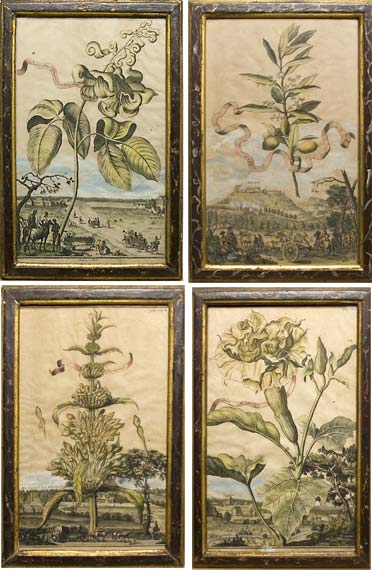 Appraisal: Artist Unknown PLANT AND LANDSCAPE STUDIES Four hand-colored engravings Estimate