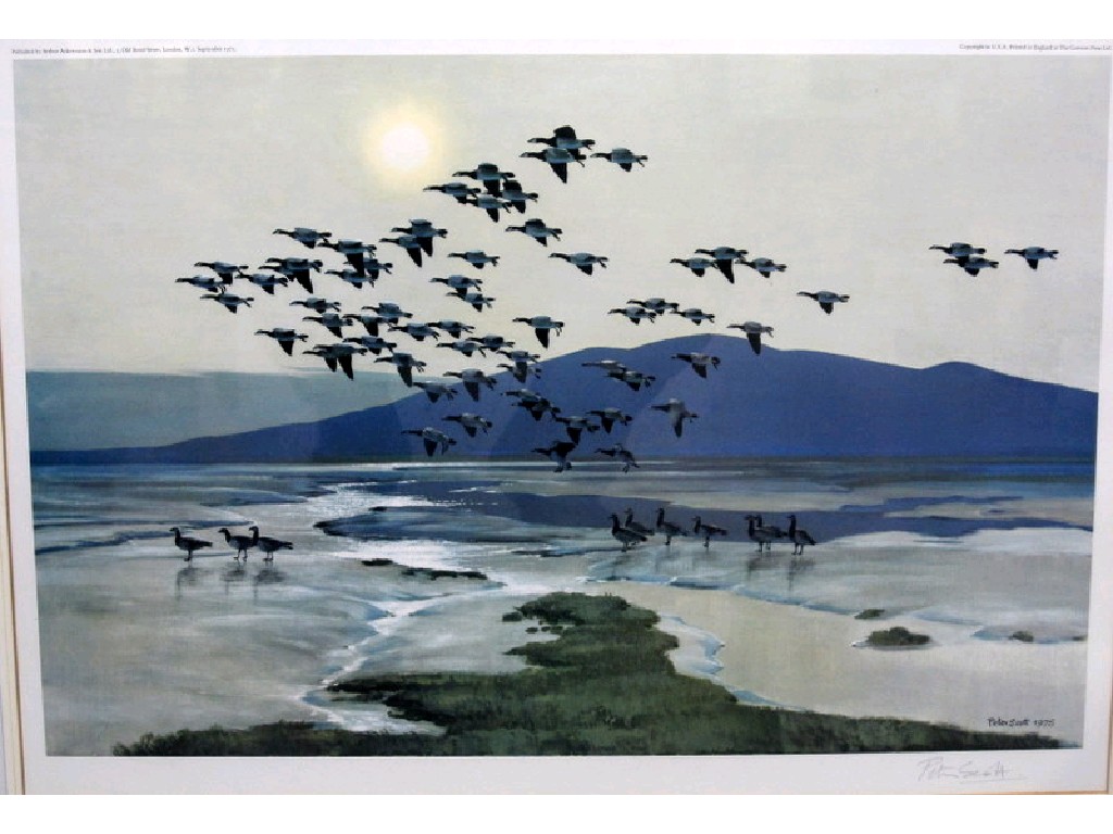 Appraisal: After SIR PETER SCOTT Limited Edition prints 'Geese over the