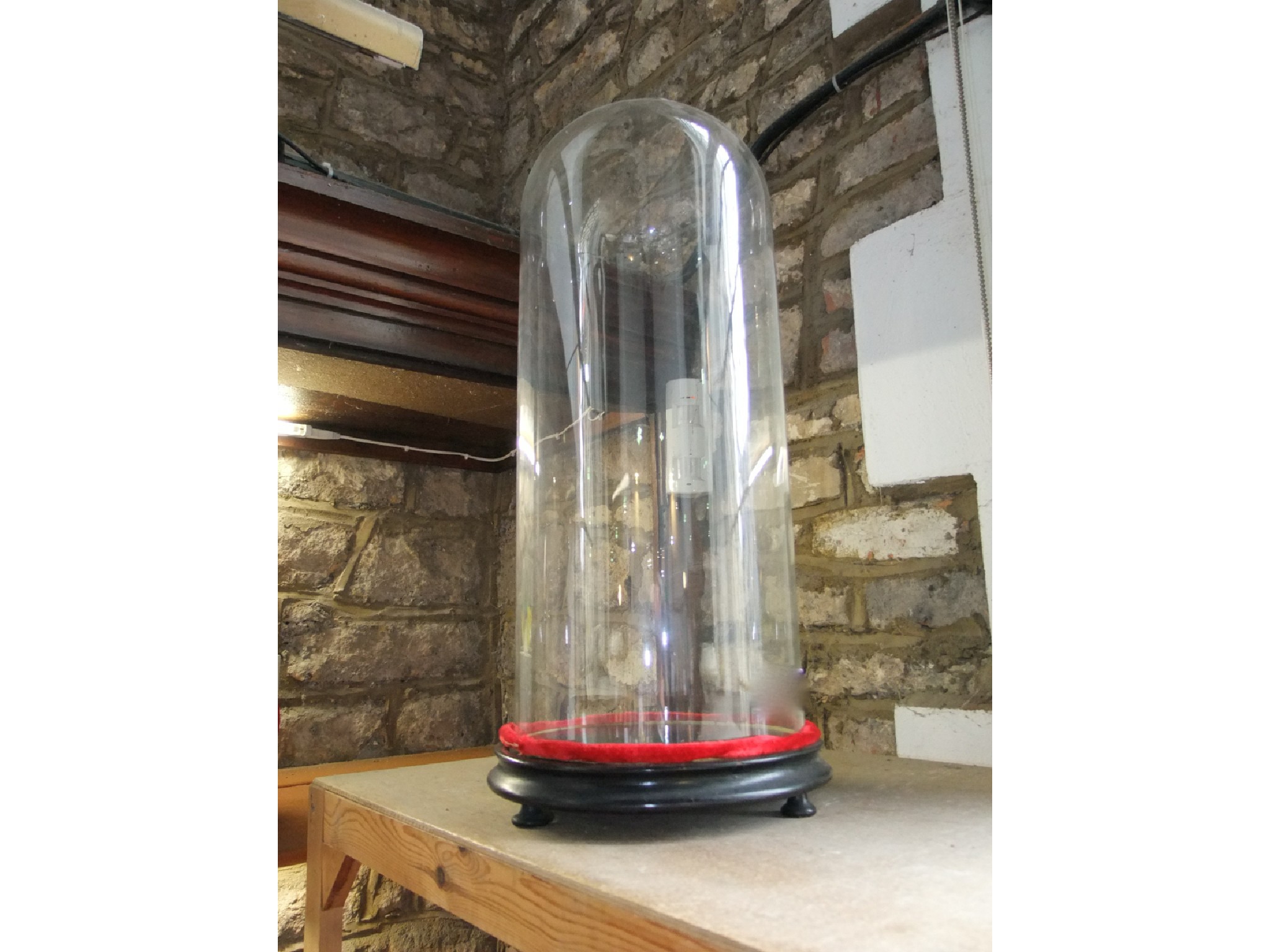 Appraisal: A large clear glass taxidermy display dome of cylindrical form