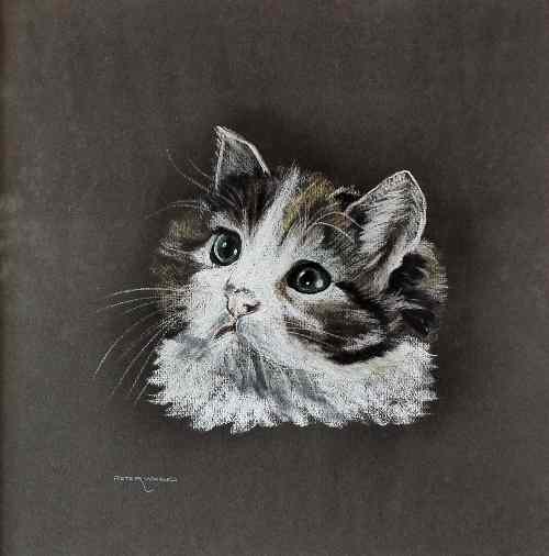 Appraisal: Peter Ward - Pastel drawing - Head of a tabby