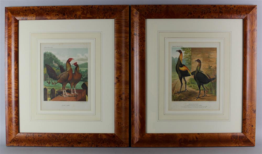 Appraisal: VINCENT BROOKS DAY ENGLISH CIRCA SIX PRINTS FROM CASSELLS POULTRY