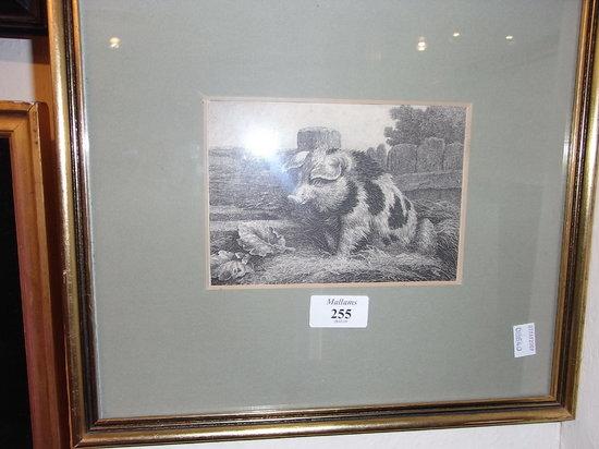 Appraisal: AFTER SAMUEL HOWITT'A Pig and Poultry' and 'Pig in Sty'