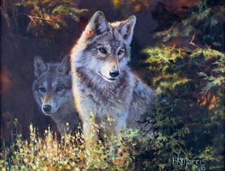 Appraisal: Wolves by Bonnie Marris Bonnie Marris - oil on canvas