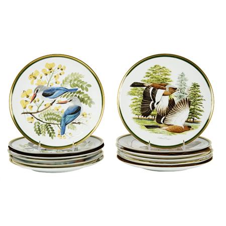 Appraisal: Set of Twelve Audubon Society Woodland Birds Transfer Decorated Porcelain