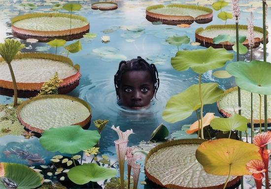 Appraisal: Ruud Van Empel b World Cibachrome print Titled dated and