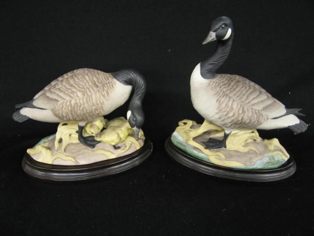 Appraisal: Pair of Boehm Porcelain Canadian Geese tallest is both approx