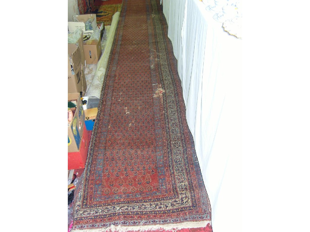 Appraisal: An eastern red ground wool runner with repeating boteh motifs