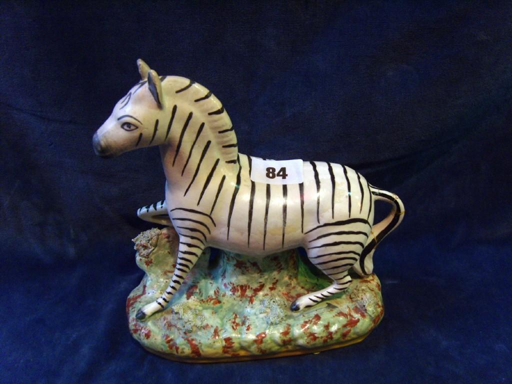 Appraisal: A th century Staffordshire model of a zebra raised on