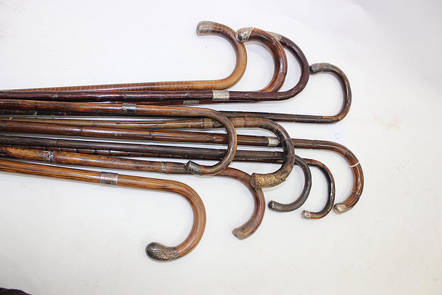 Appraisal: A COLLECTION OF RATTAN CANE CROOK HANDLED WALKING STICKS some