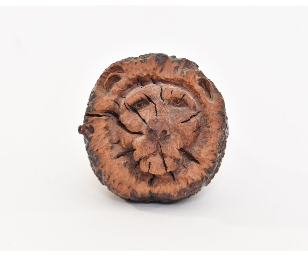 Appraisal: Lion Root Pipe Large carved root pipe in the form