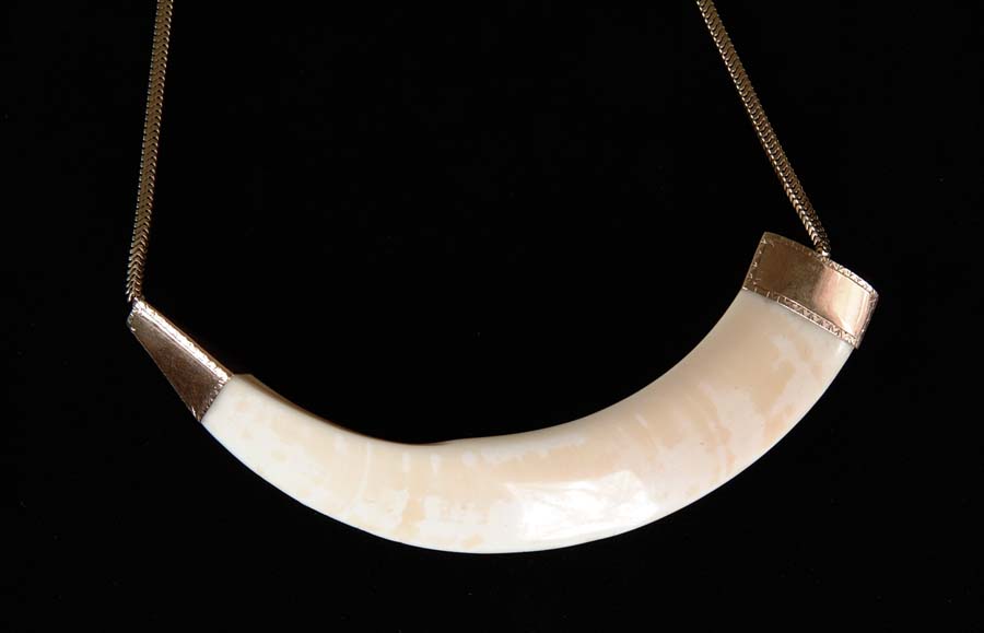 Appraisal: IVORY BOAR S TUSK NECKLACE Very interesting necklace has ivory