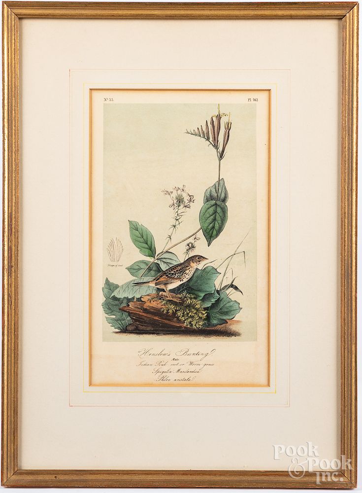 Appraisal: Two color lithographs of birds Exclusive on Bidsquare Two color