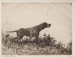 Appraisal: Frank W Benson My Pointer signed Frank W Benson lower