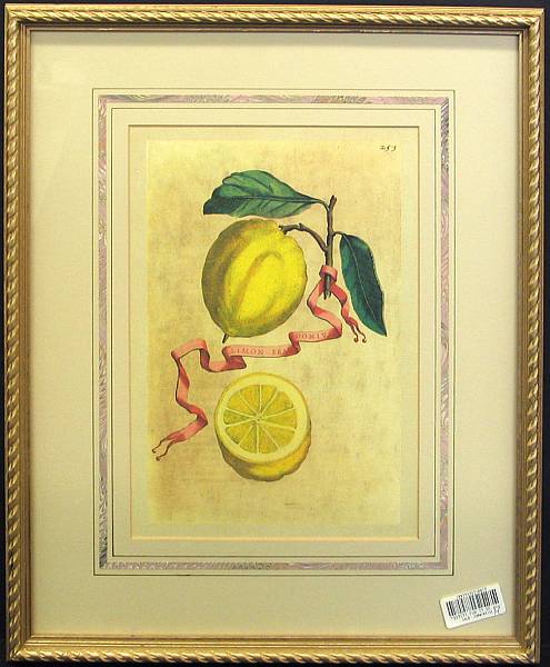 Appraisal: A set of four framed colored prints of citrus fruits