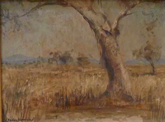 Appraisal: PHYL WATERHOUSE THE WATERHOLE OIL ON BOARD