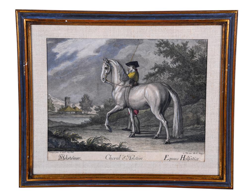 Appraisal: JOHANN ELIAS RIDINGER SET OF FOUR COLORED PRINTSdepicting various breeds