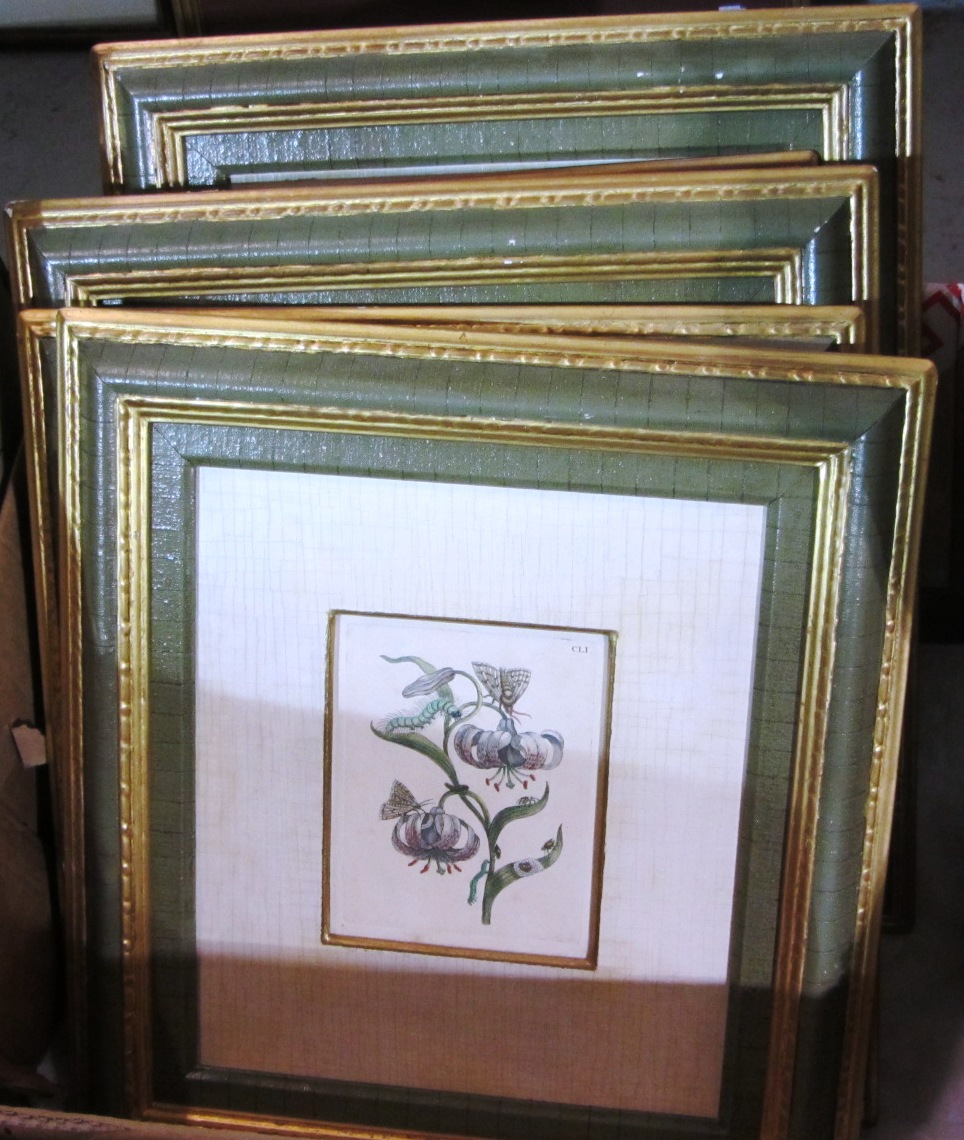 Appraisal: A set of six copper plate engravings with hand colouring