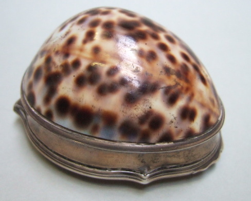 Appraisal: A silver mounted cowrie shell hinge lidded snuff box the