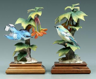 Appraisal: Two Doughty bird figurines cerulean warblers and maple copyright black