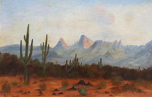 Appraisal: COLMAN Roi Clarkson American - Desert Landscape Oil Board ''