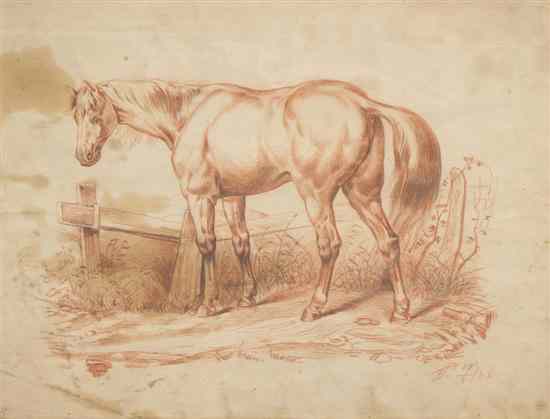 Appraisal: Artist Unknown th century Horse graphite and red pencil initialed