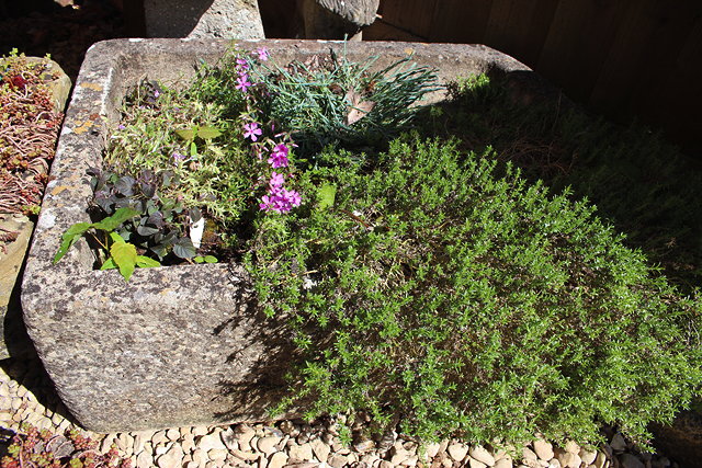 Appraisal: AN ANTIQUE RECTANGULAR STONE TROUGH planted with herbs cm x