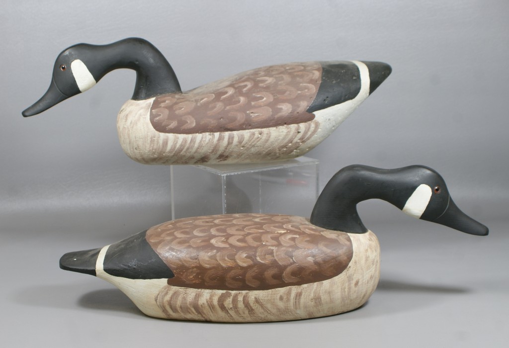 Appraisal: Canadian Goose carved and painted wood decoys glass eyes unsigned