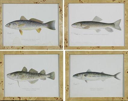 Appraisal: After Sherman F Denton American - Fish Reproduction prints framed