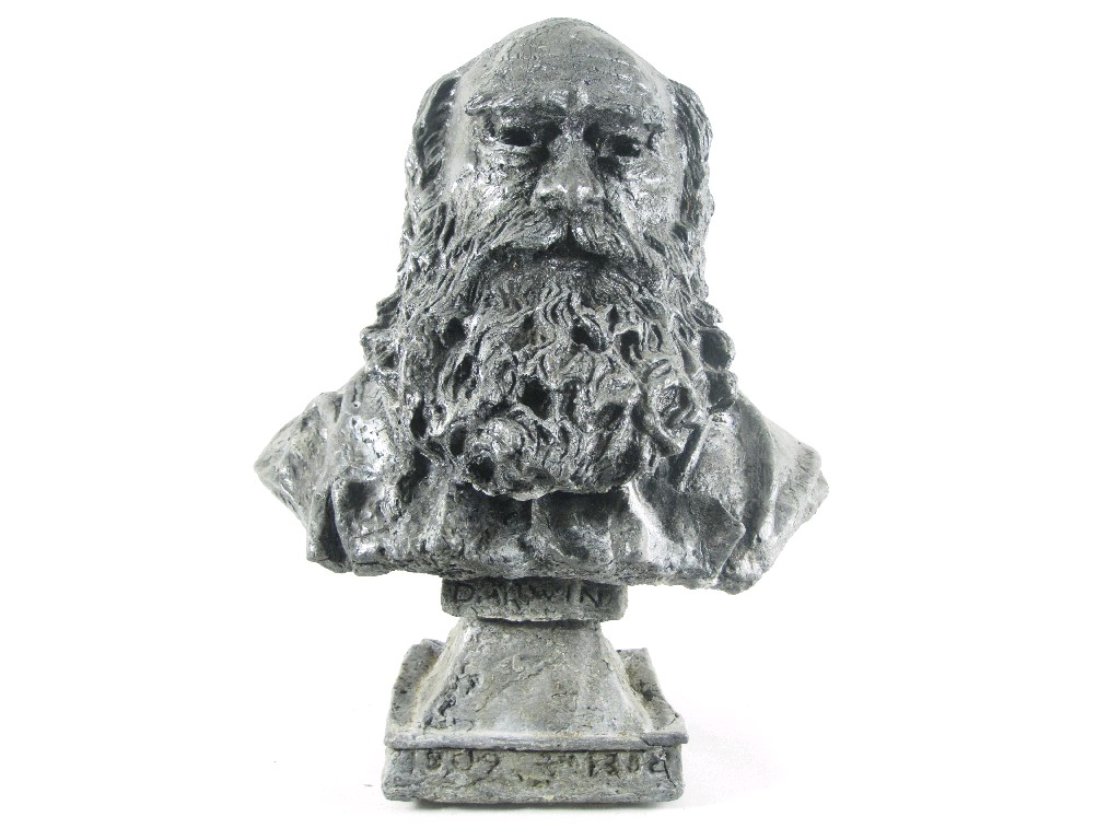 Appraisal: A lead Bust of Darwin in high