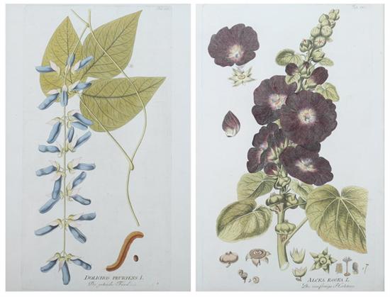 Appraisal: JOSEPH JACOBI PLENCK - Medicinal Botany four works Hand-colored engravings