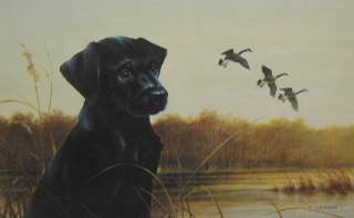 Appraisal: Black Lab Oaks Reproduction on paper x inches of Signed