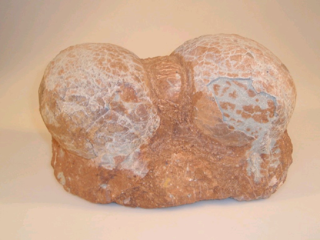 Appraisal: A pair of dinosaur eggs cm x cm x cm