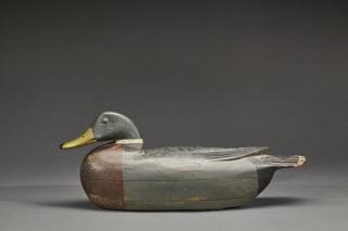 Appraisal: Mallard Drake Thomas J Fitzpatrick Mallard DrakeThomas J Fitzpatrick -