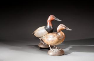 Appraisal: Canvasback Pair by William Gibian b Canvasback PairWilliam Gibian b