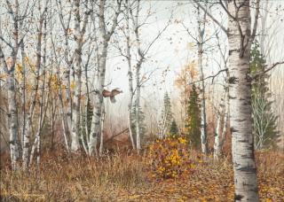 Appraisal: David A Hagerbaumer - Pine Country - Ruffed Grouse signed