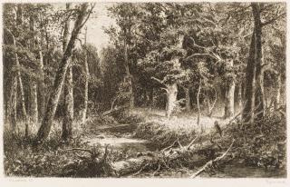 Appraisal: IVAN IVANOVICH SHISHKIN - Chernolesye etching on paperplate x cm