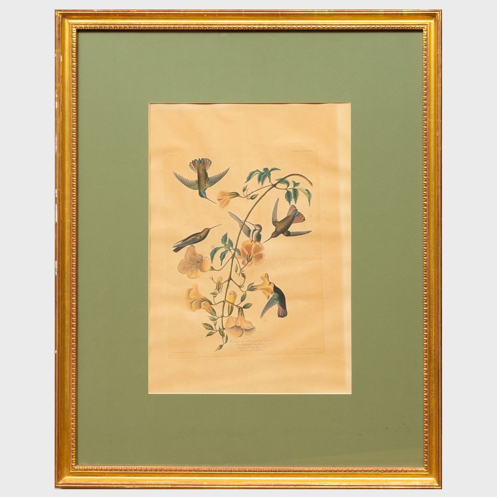 Appraisal: After John James Audubon - Mangrove Humming Bird and Ruff