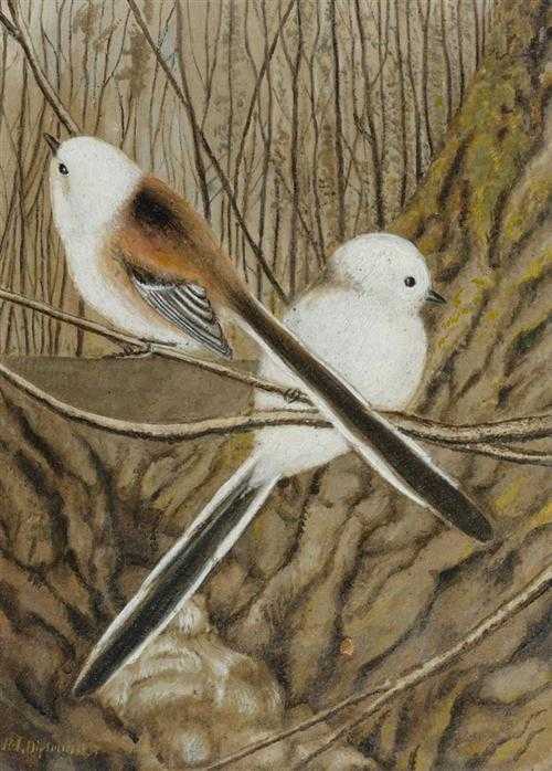 Appraisal: DIETRICH ADOLF Berlingen Long-tail tit Oil on board Signed lower