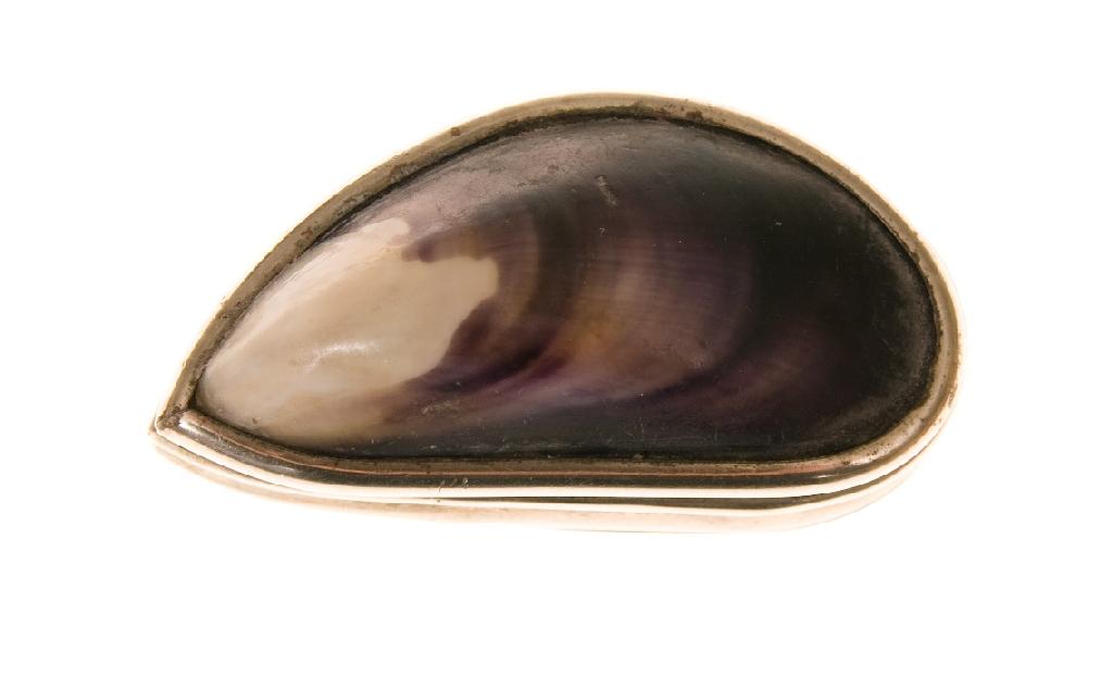 Appraisal: th CENTURY SILVER-PLATE MOUNTED MUSSEL SHELL SNUFF BOX cm -