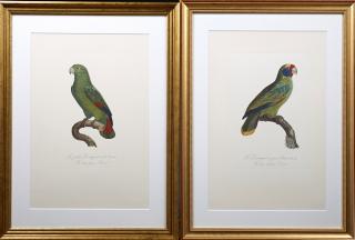 Appraisal: Francois Levaillant - The Blue-cheeked Parrot and The Lesser Green