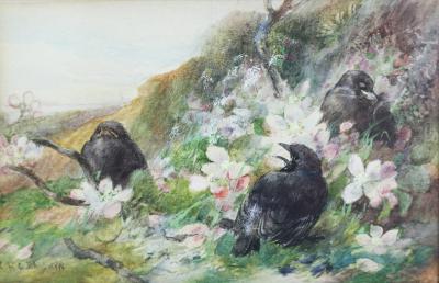 Appraisal: Charles H C Baldwyn - Rooks among Blossom watercolour cm