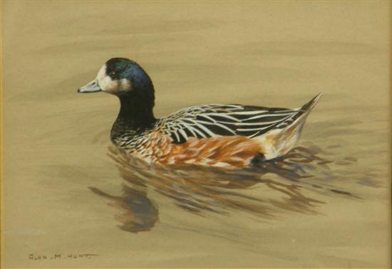 Appraisal: Alan M Hunt watercolour study of a duck signed Saleroom