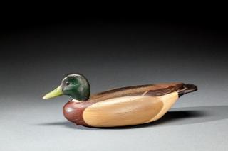 Appraisal: Mallard Drake by David B Ward b David B Ward