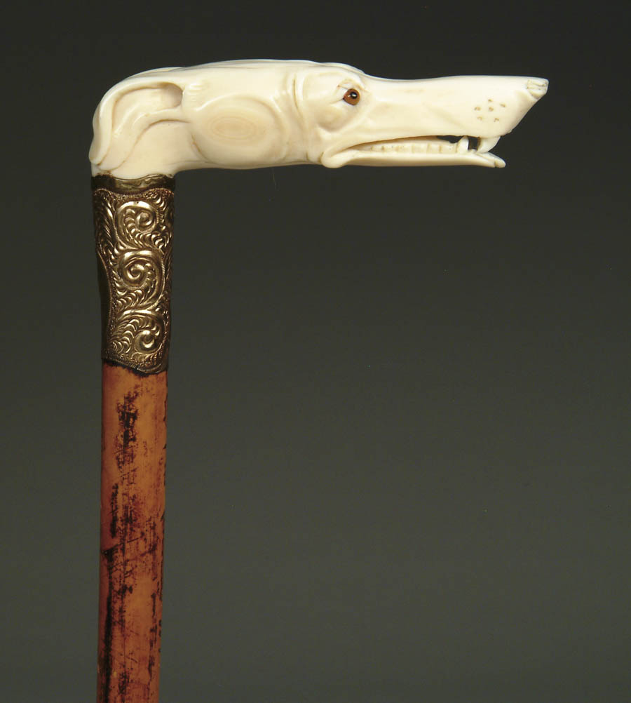 Appraisal: CARVED IVORY DOG CANE L-handle top has a long narrow