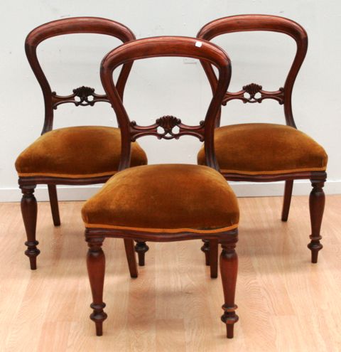 Appraisal: A set of six Australian cedar balloon back dining chairs