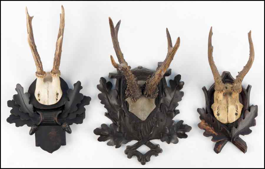 Appraisal: GROUP OF THREE MOUNTED ANTLERS H '' W '' D