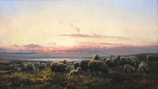 Appraisal: Sara Lewis Sheep on the Coast oil on canvas signed